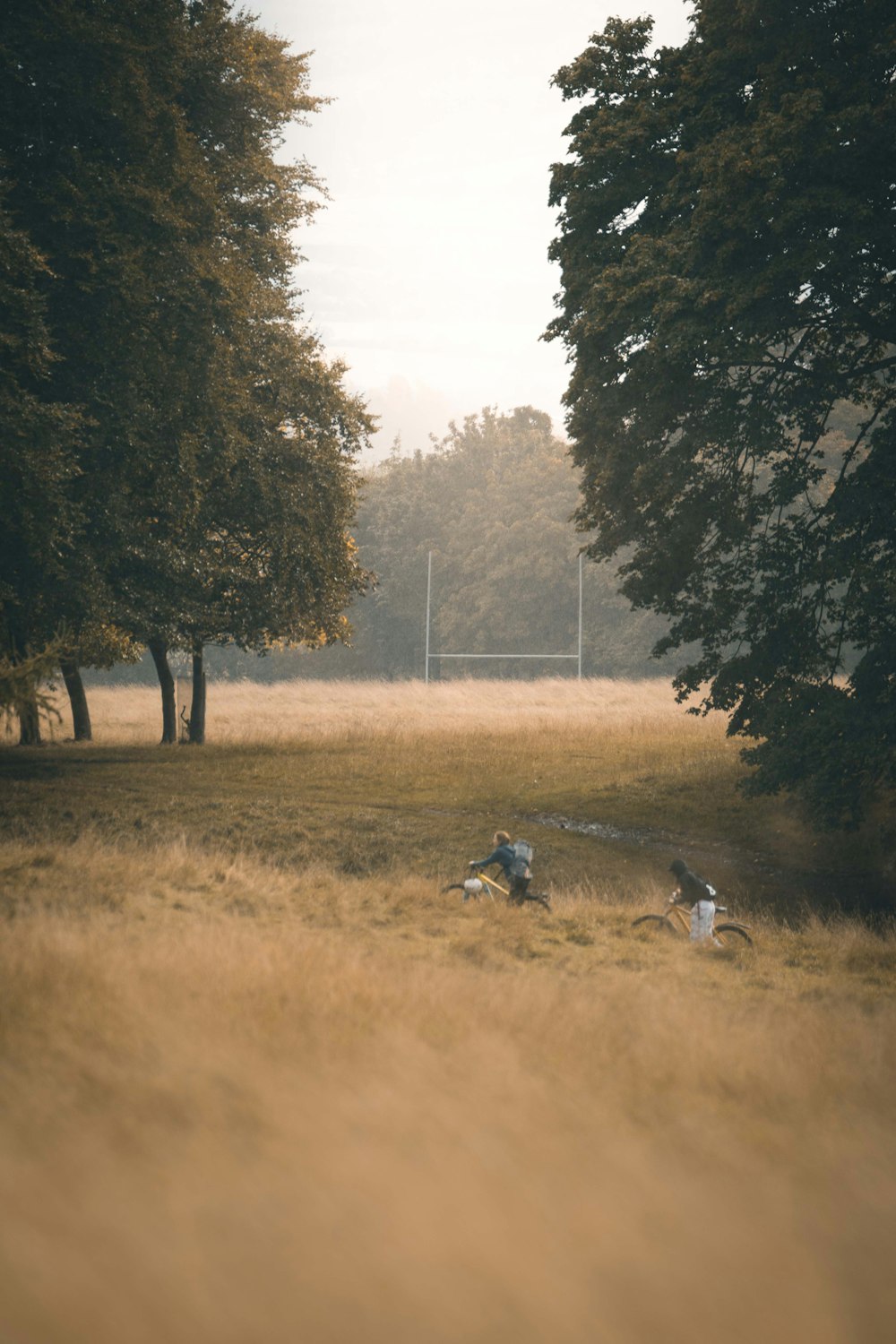 a couple of birds that are sitting in the grass