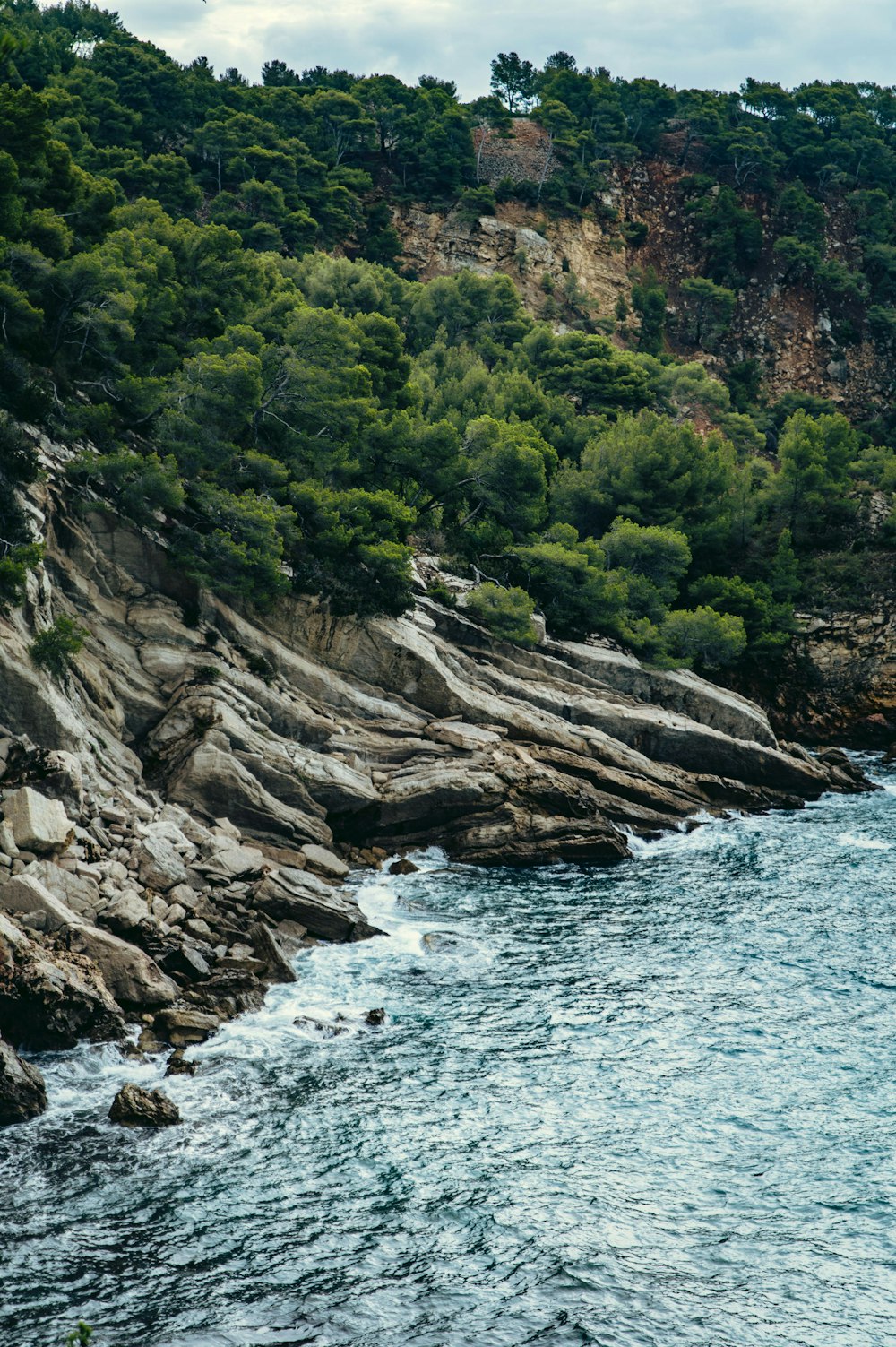 a large body of water surrounded by trees