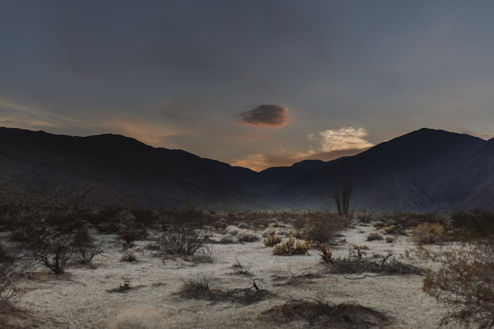 a desert landscape with mountains in the background