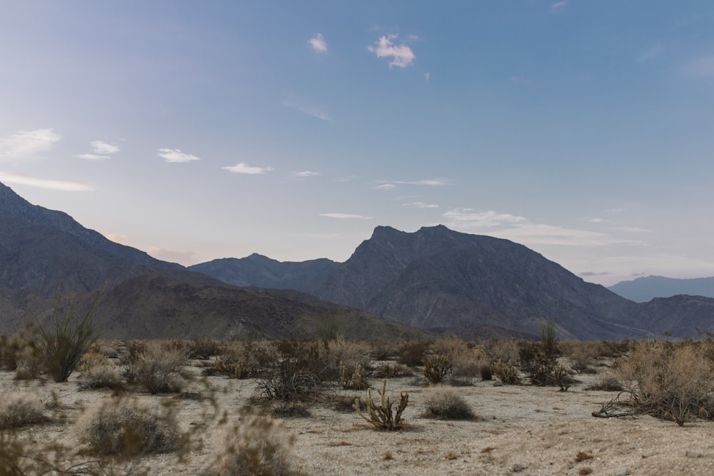 a desert landscape with mountains in the background