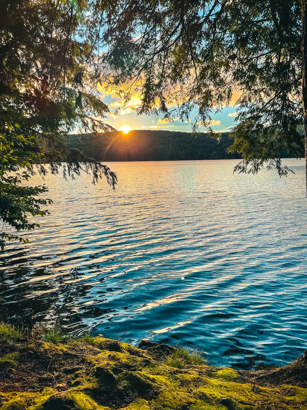 a large body of water surrounded by trees