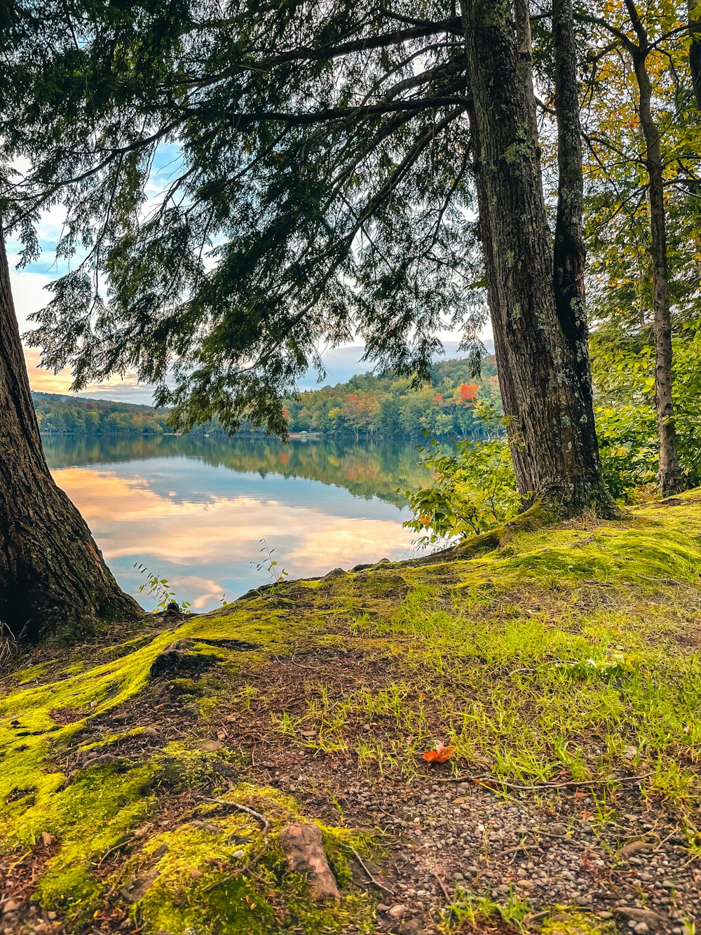 a scenic view of a lake surrounded by trees