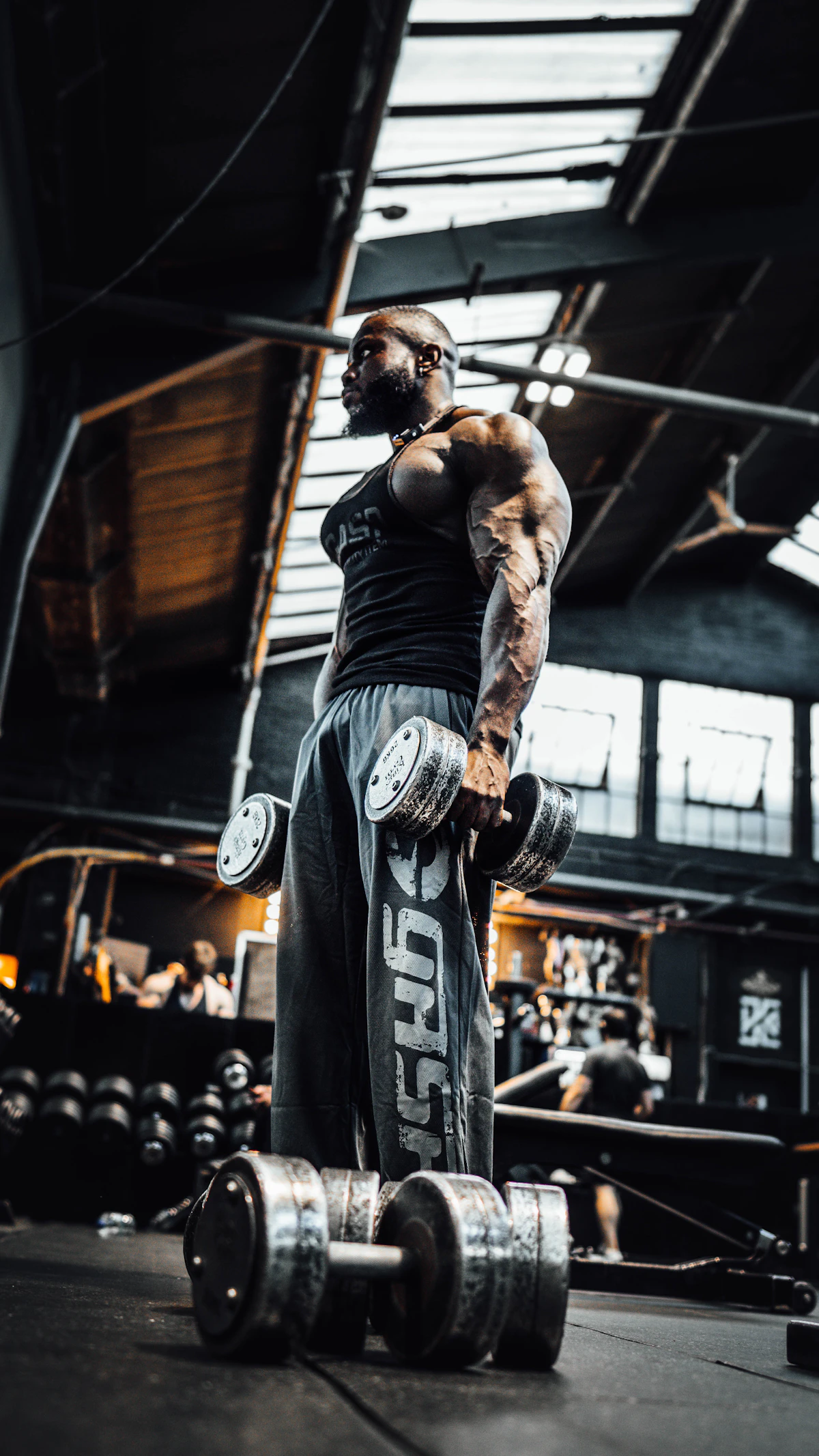 Member gym sedang latihan angkat beban