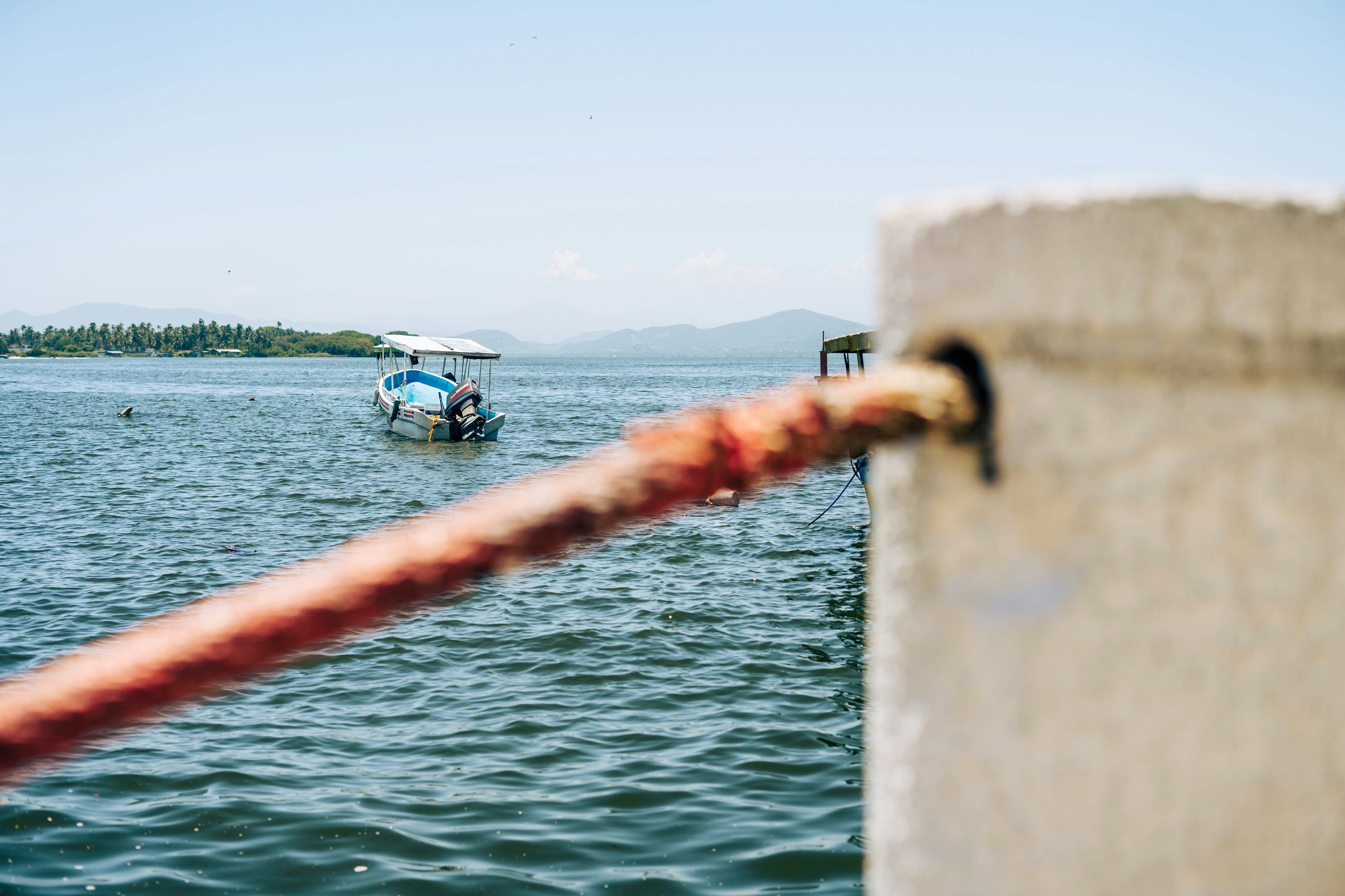 Photo by danielalvasd