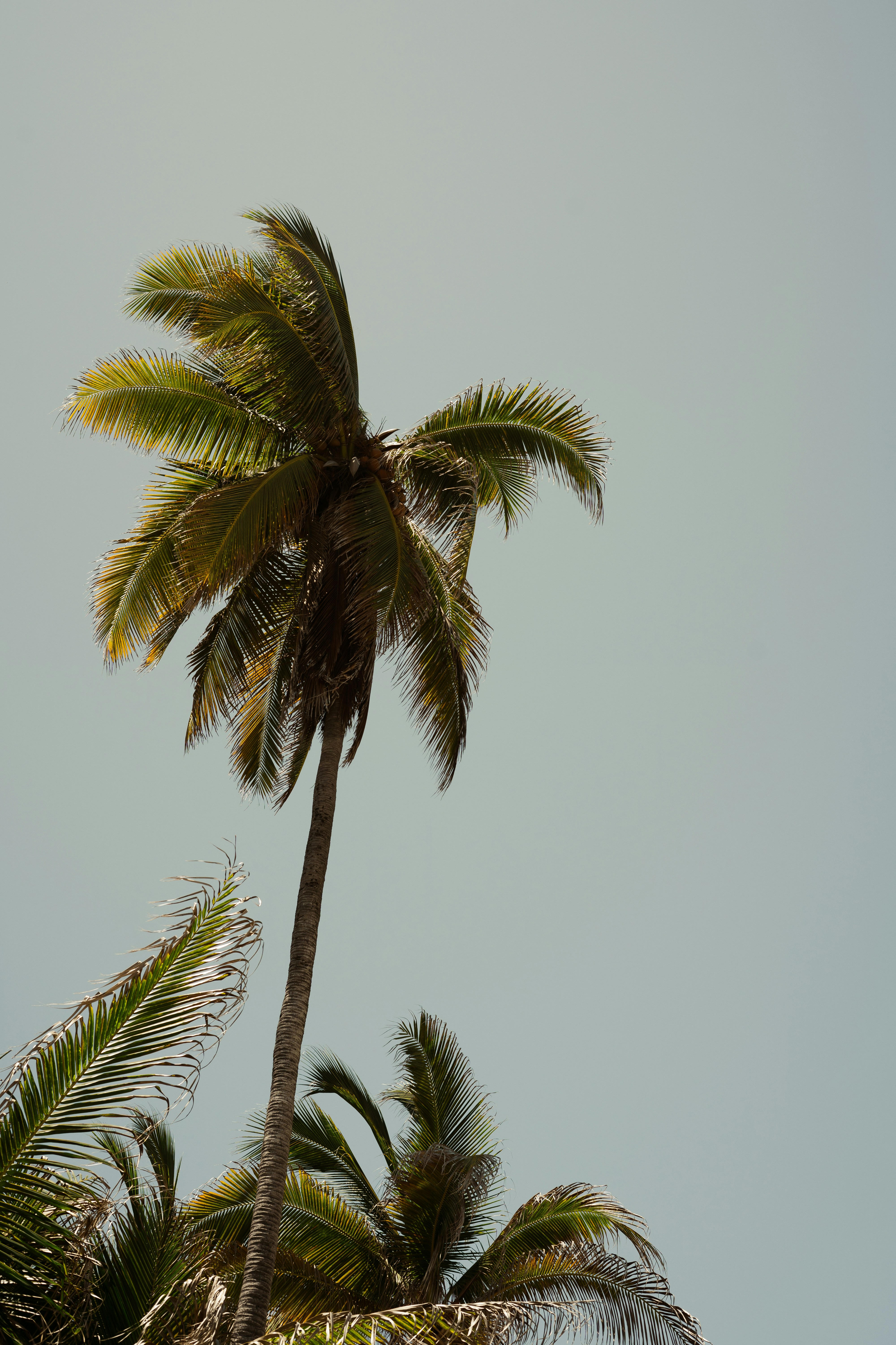 Photo by danielalvasd