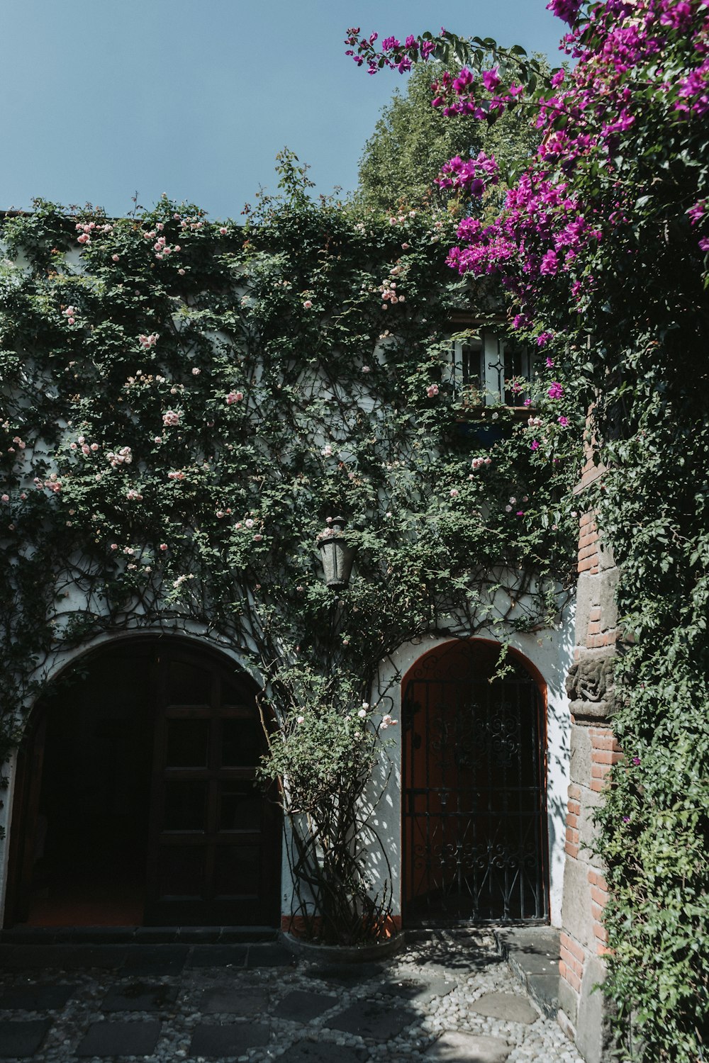 a building covered in vines and pink flowers