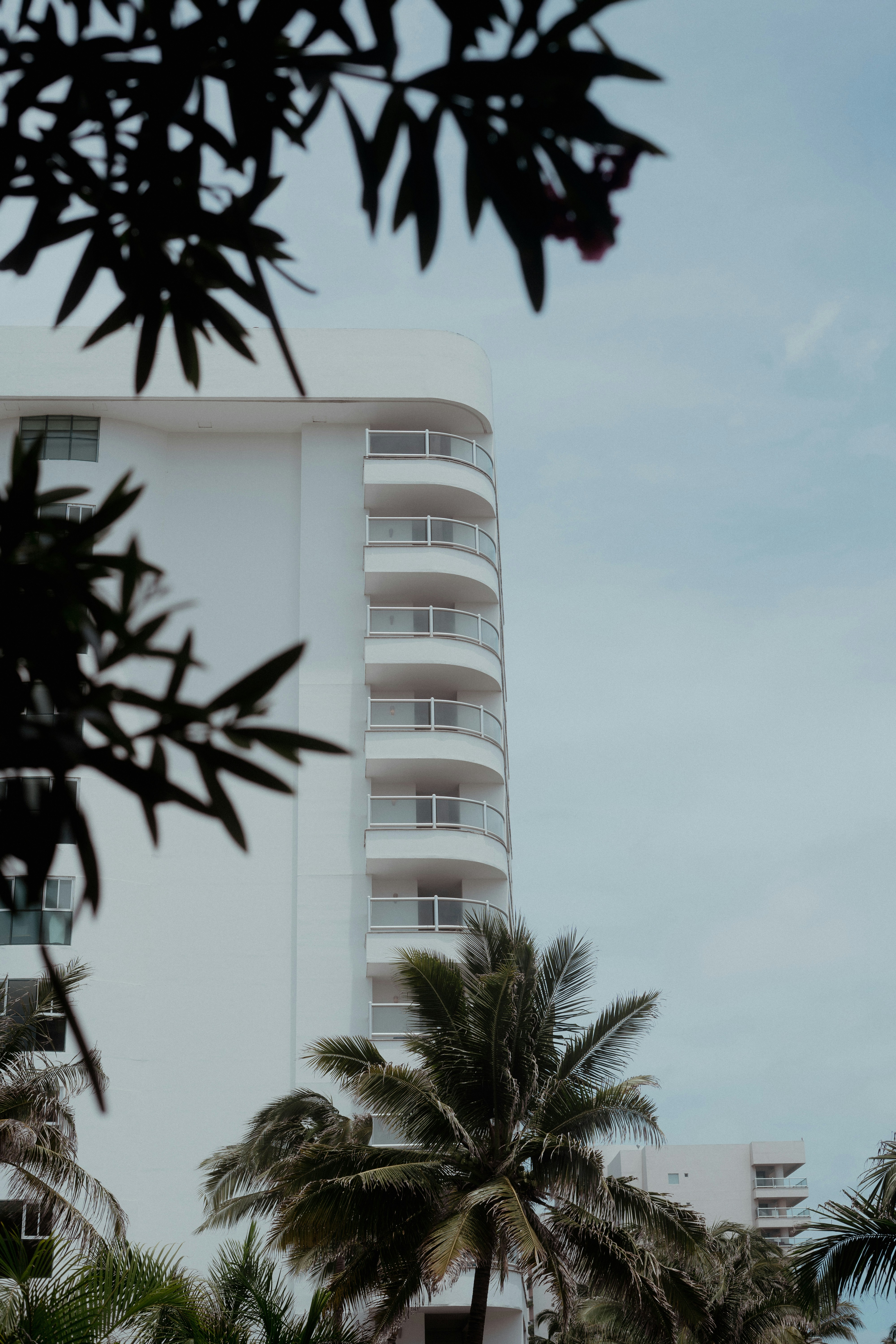 Photo by danielalvasd