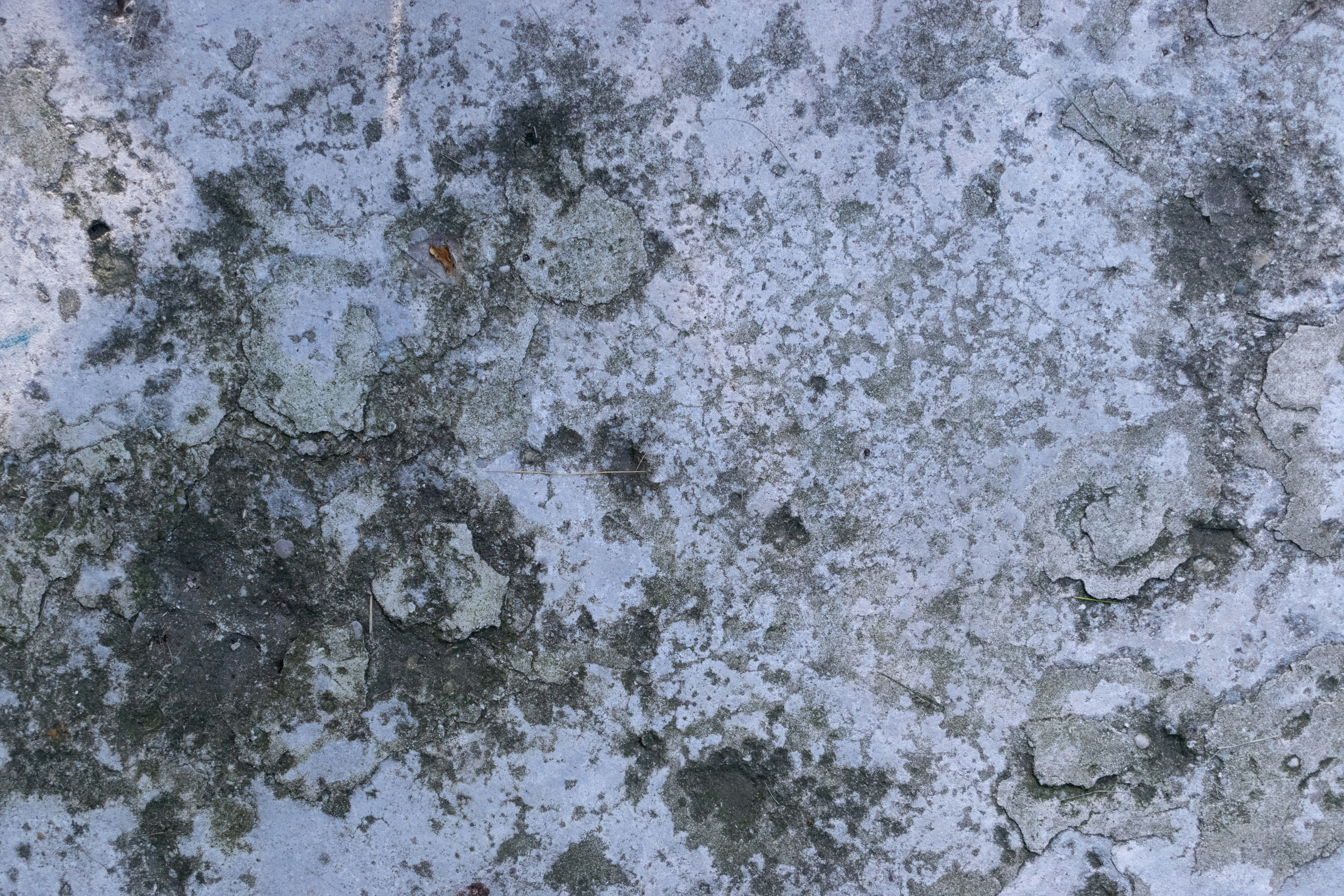 Photo by sparkledump