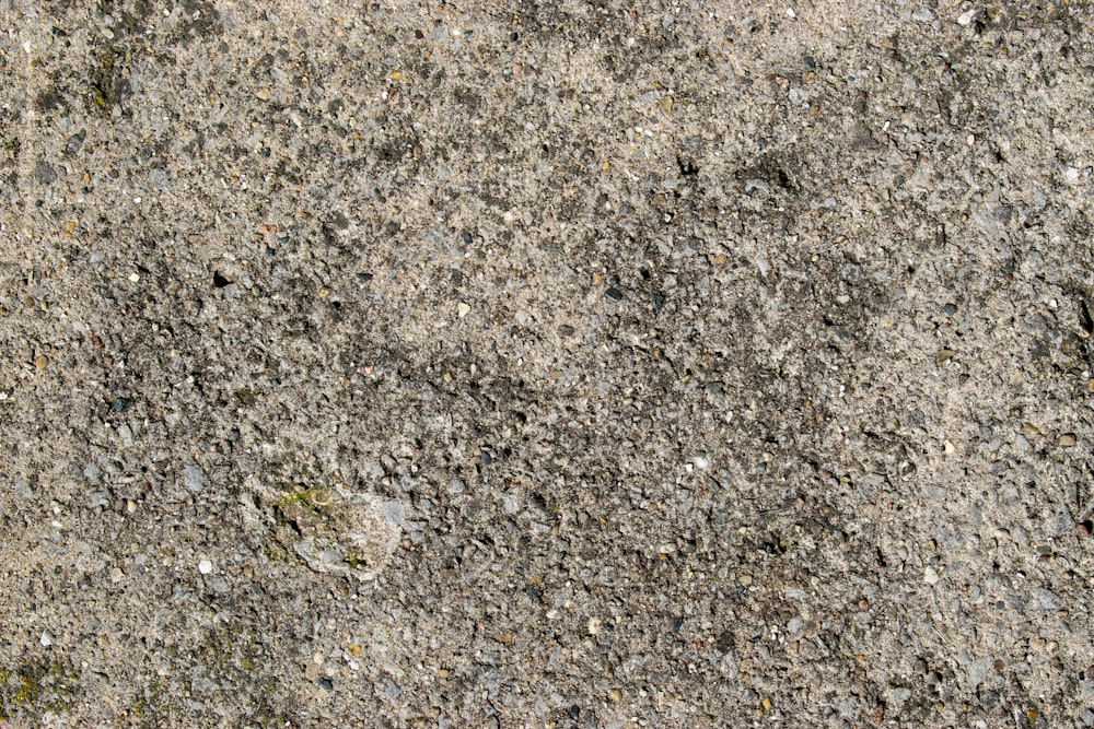 um close up de uma superfície de cimento com pequenas rochas