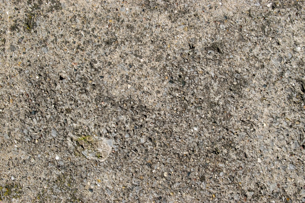 a close up of a cement surface with small rocks