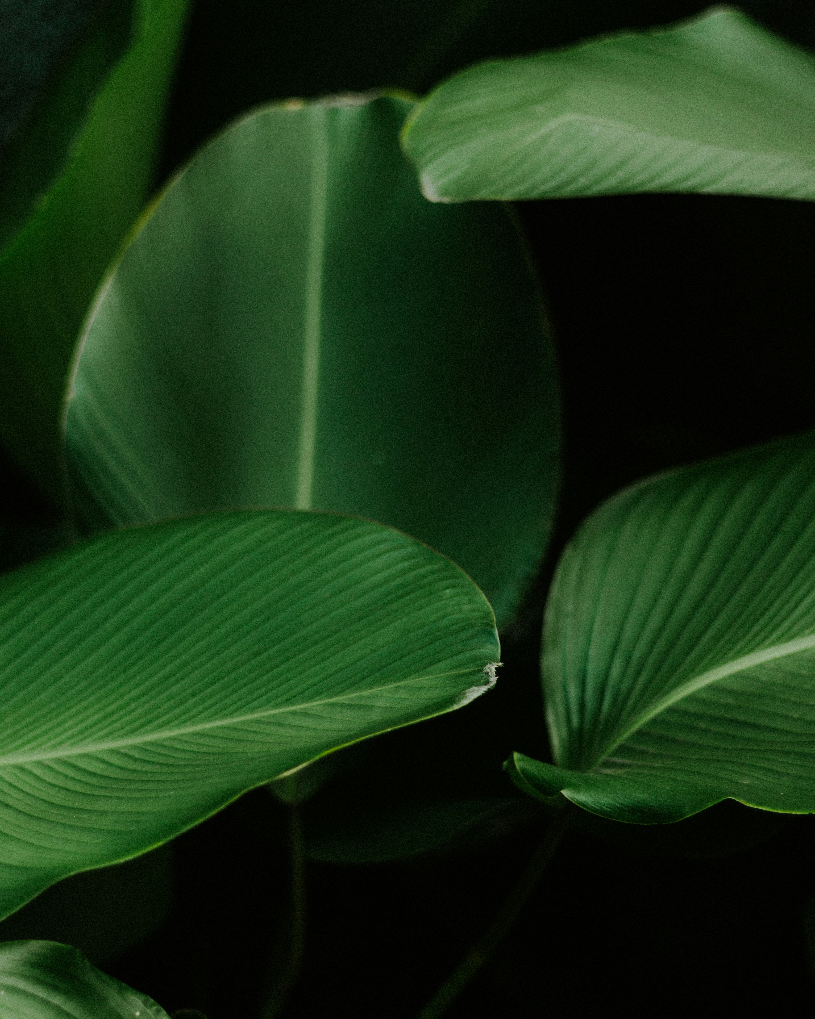 Photo by adiyogiriana