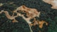 an aerial view of a dirt road in the middle of a forest