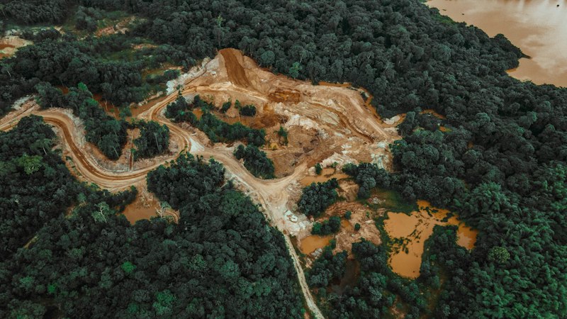 América Latina en la Encrucijada Ambiental: Deforestación, Minería Ilegal y los Retrocesos Institucionales de 2026