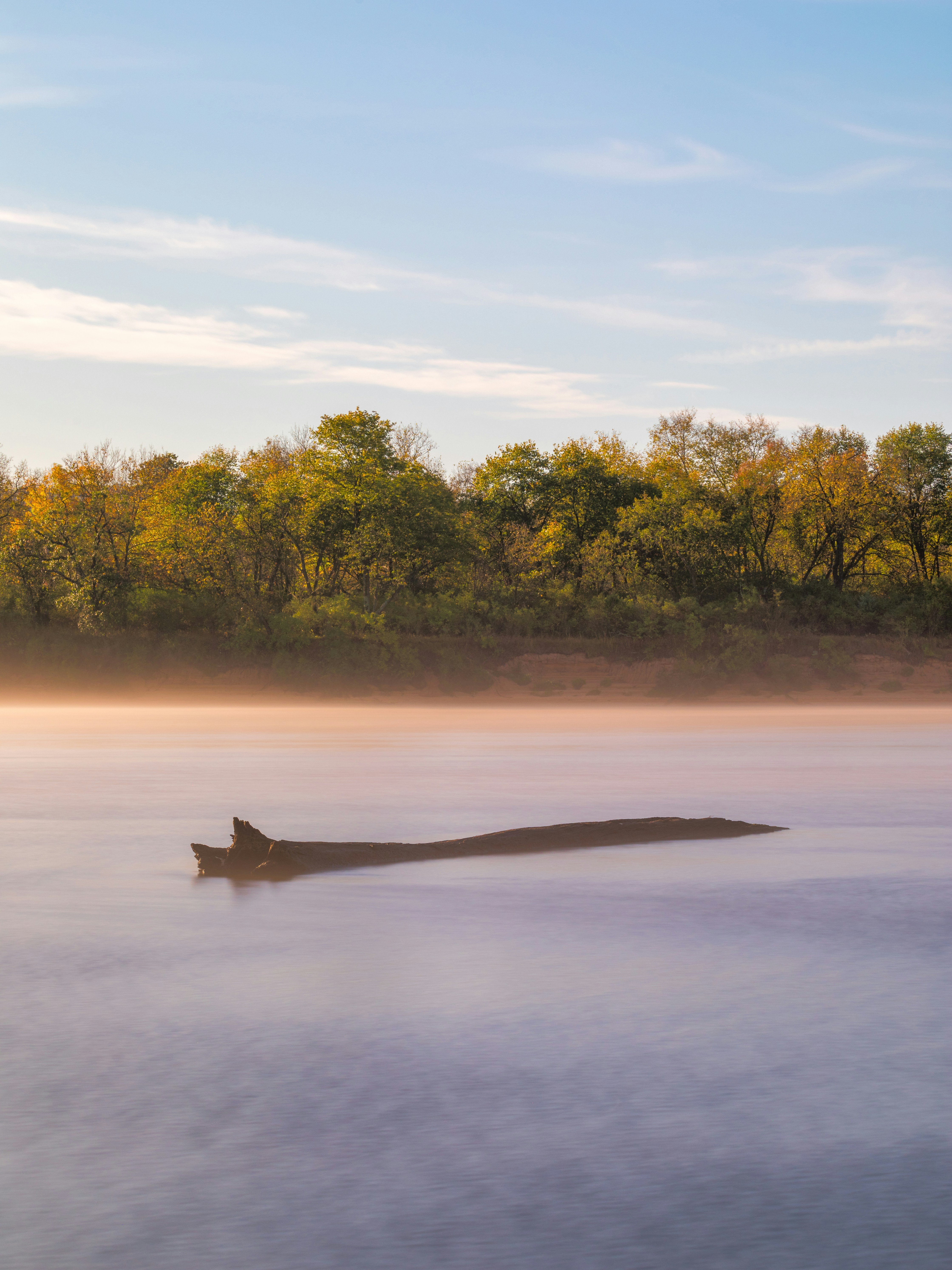 Why Partnerships Kill More Innovations Than They Enable