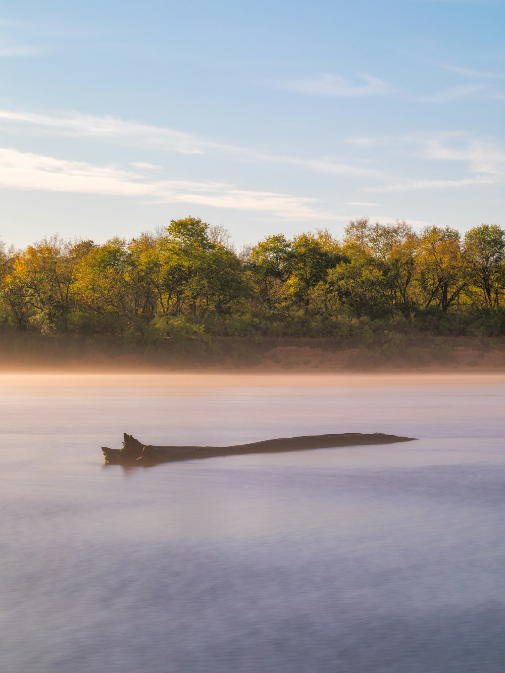 a large log floating on top of a body of water