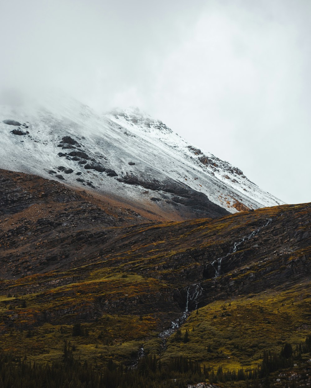 a mountain covered in snow and brown grass