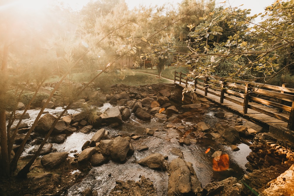 a wooden bridge over a small stream in a park