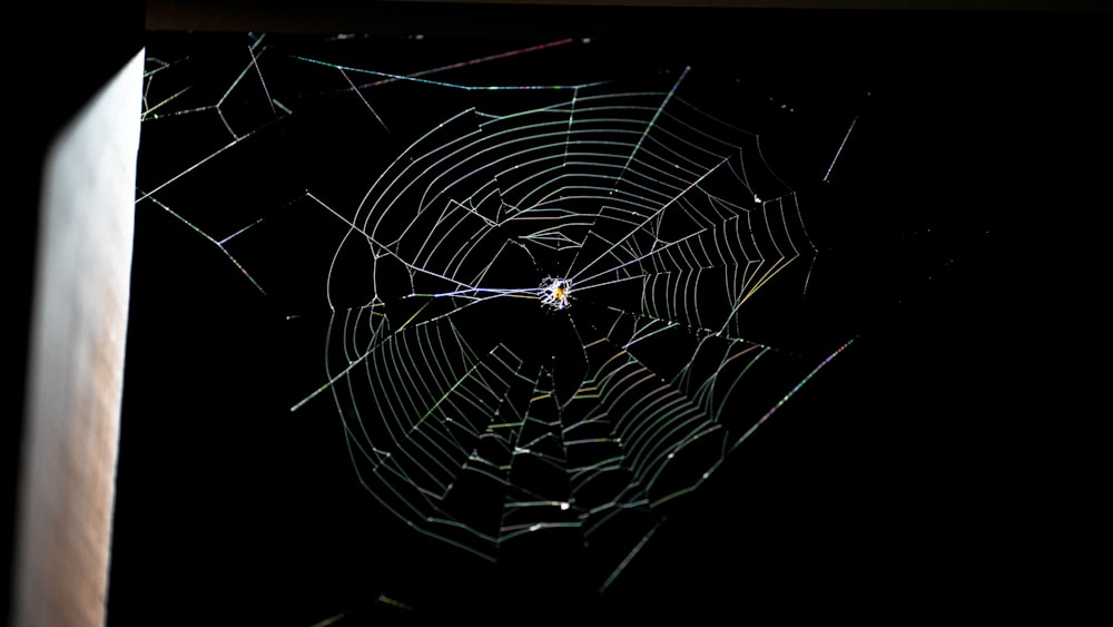 a spider web in the middle of a dark room