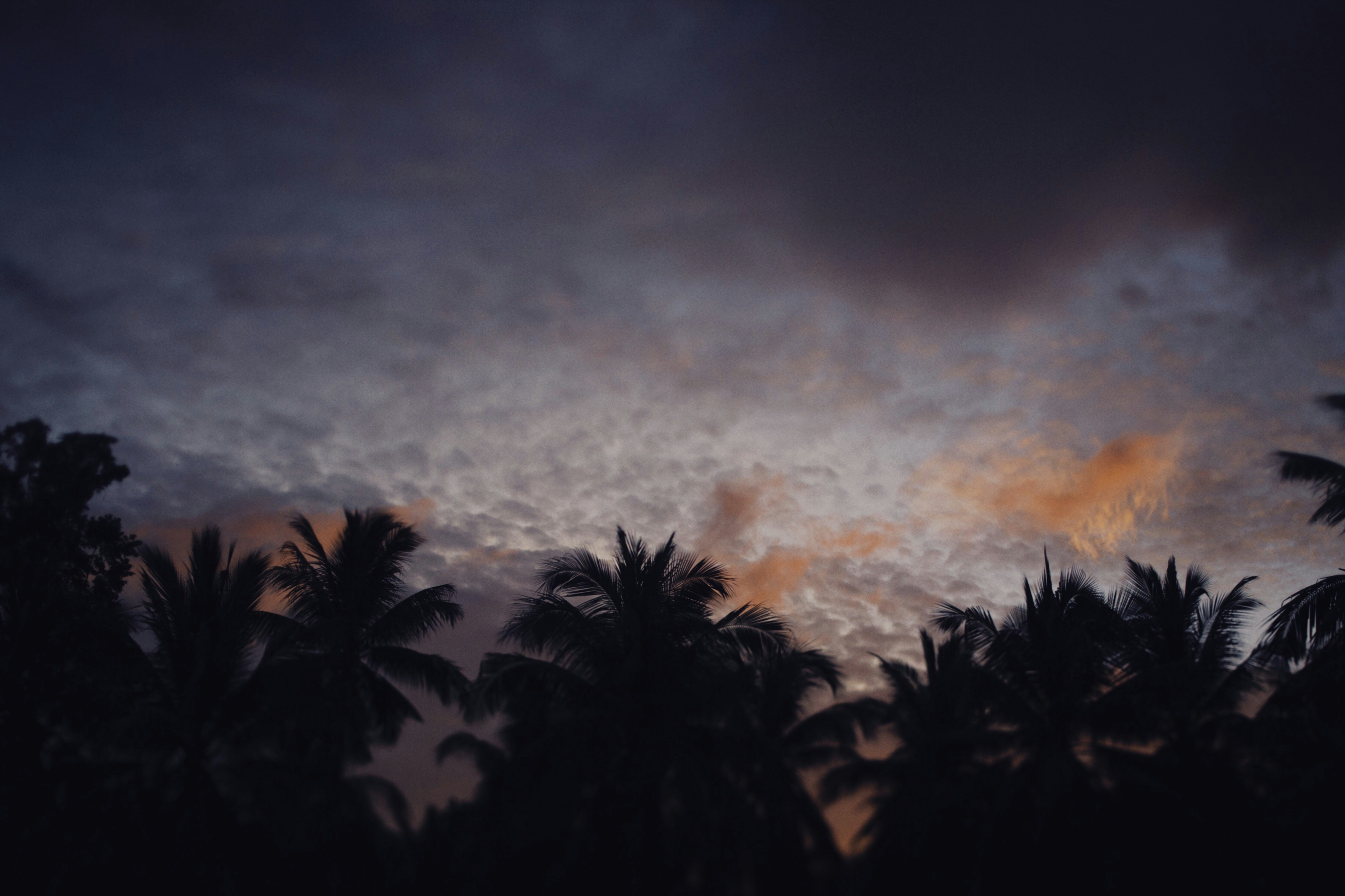 Photo by alexeydemidov