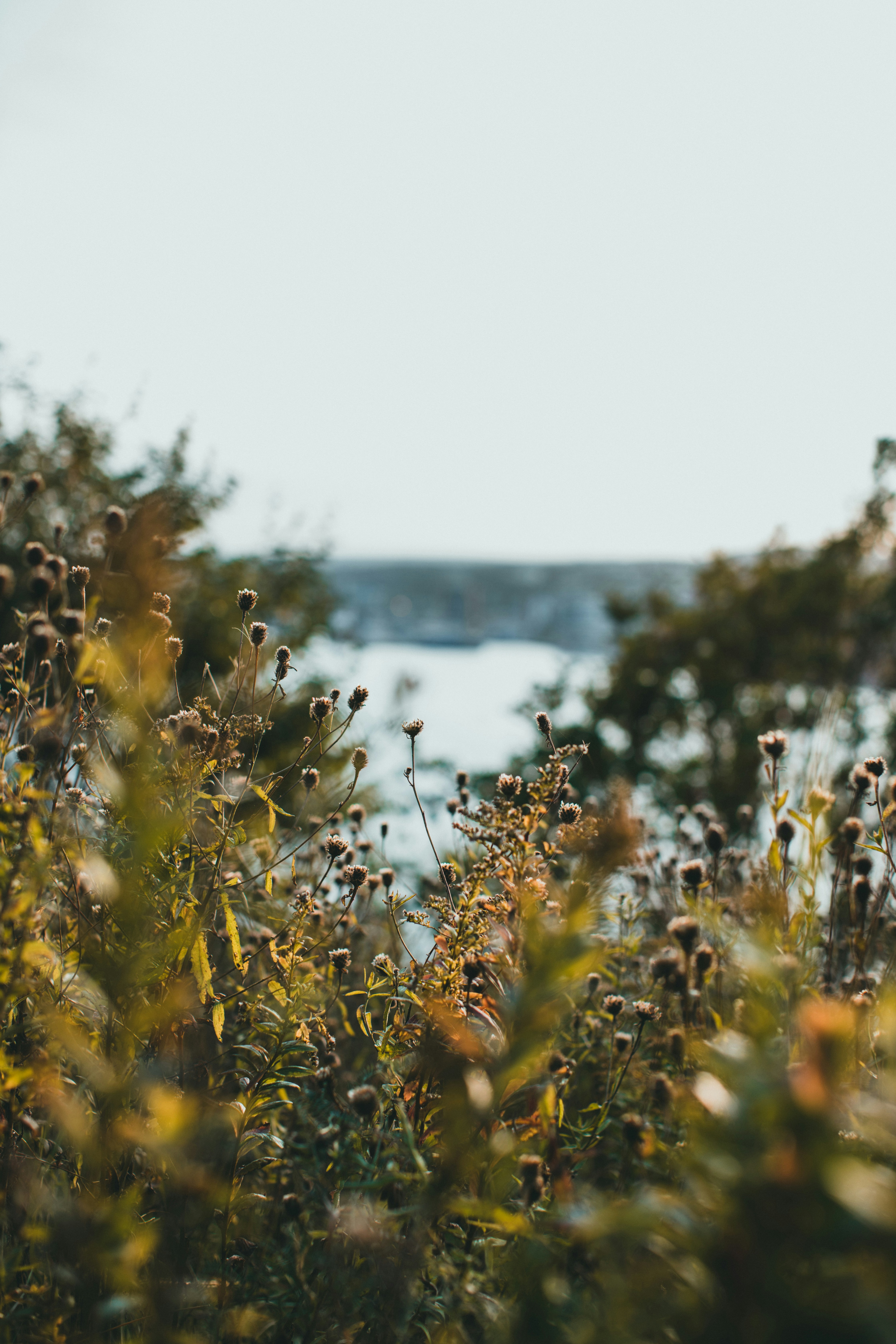 Photo by theshuttervision