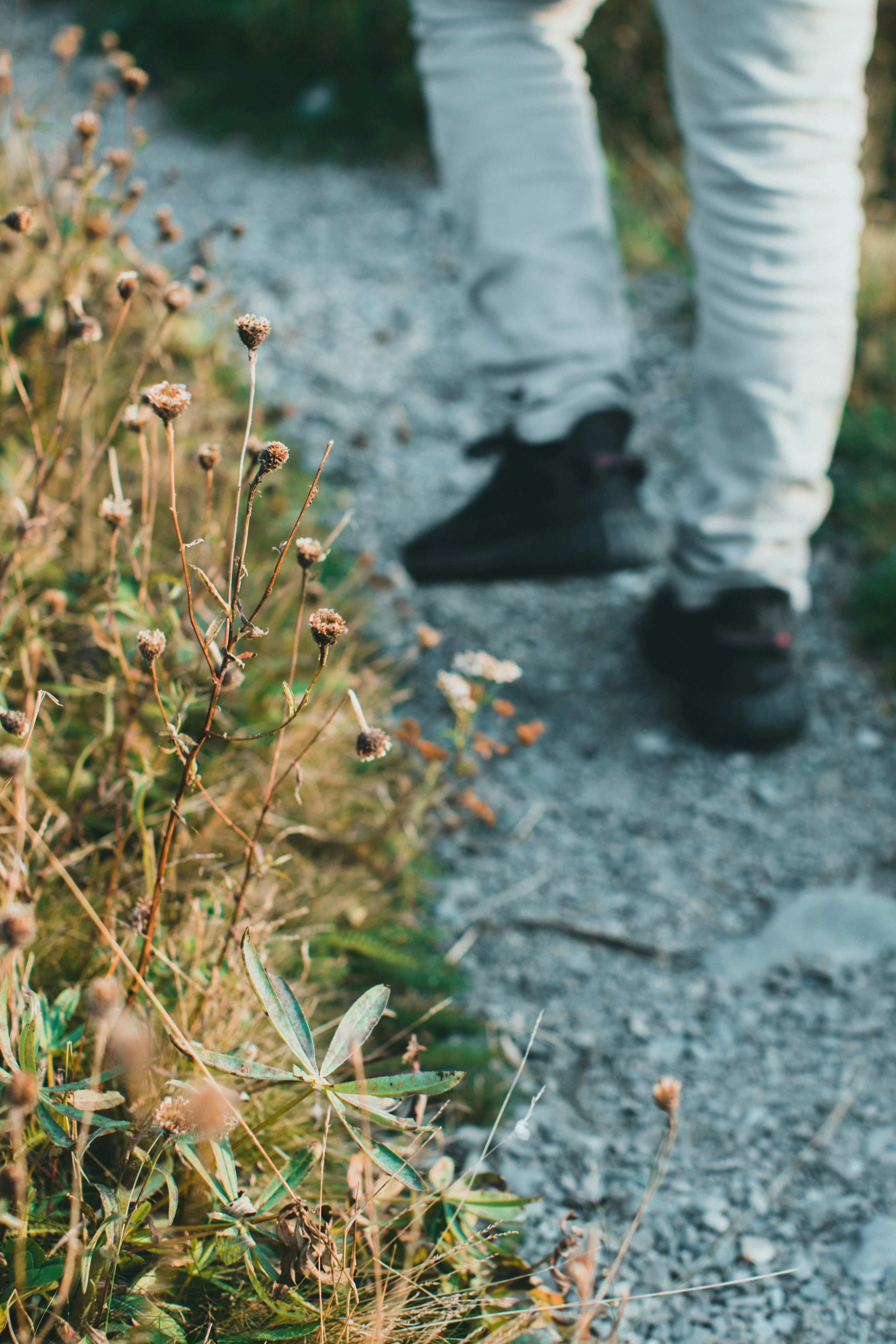 Photo by theshuttervision