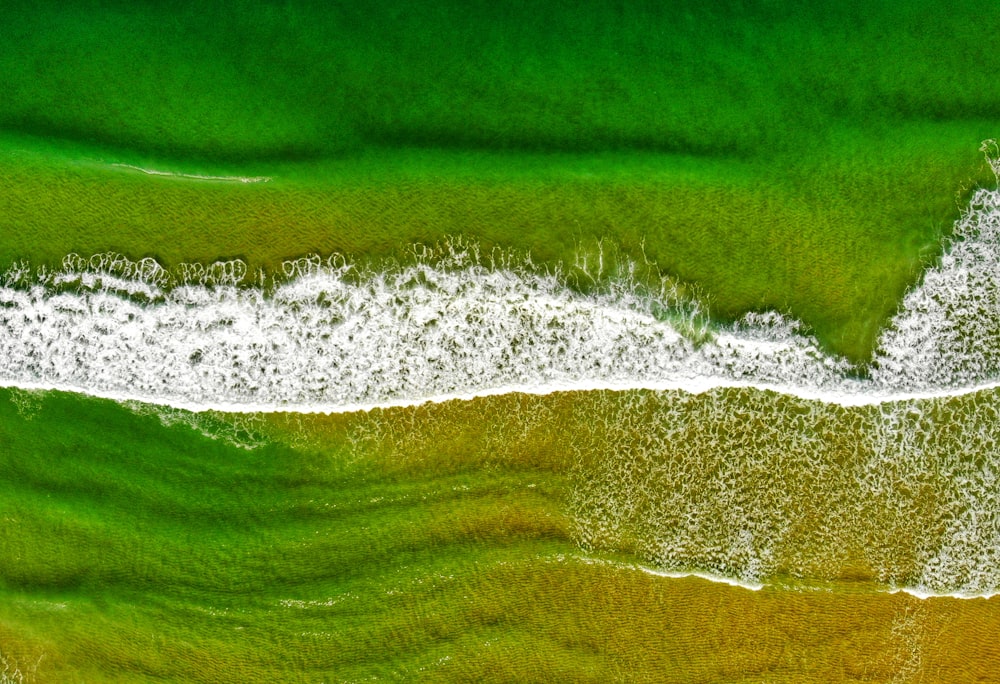 Luftaufnahme eines Strandes mit grünem Wasser