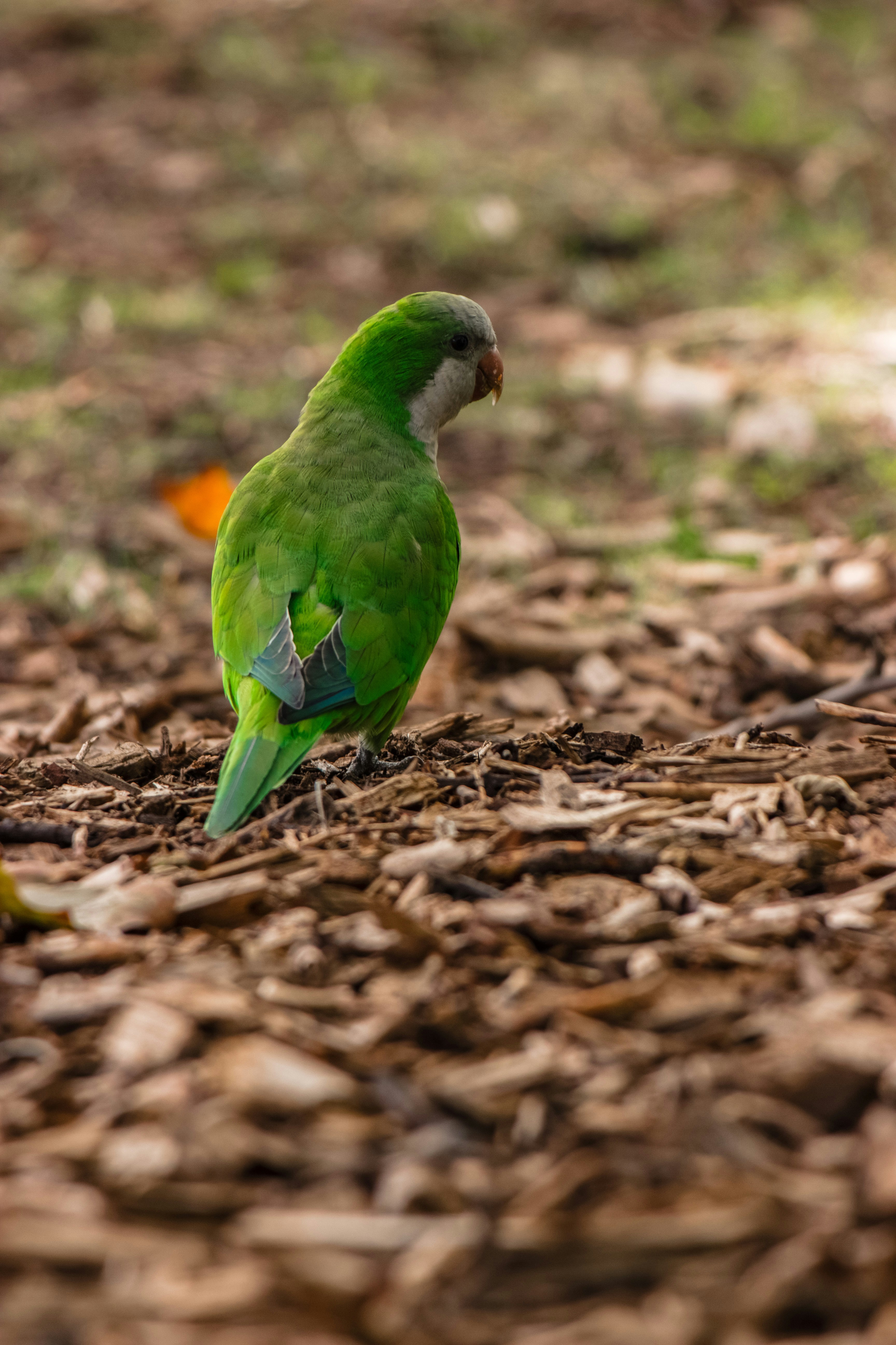 Photo by vincenzogallinaphotography