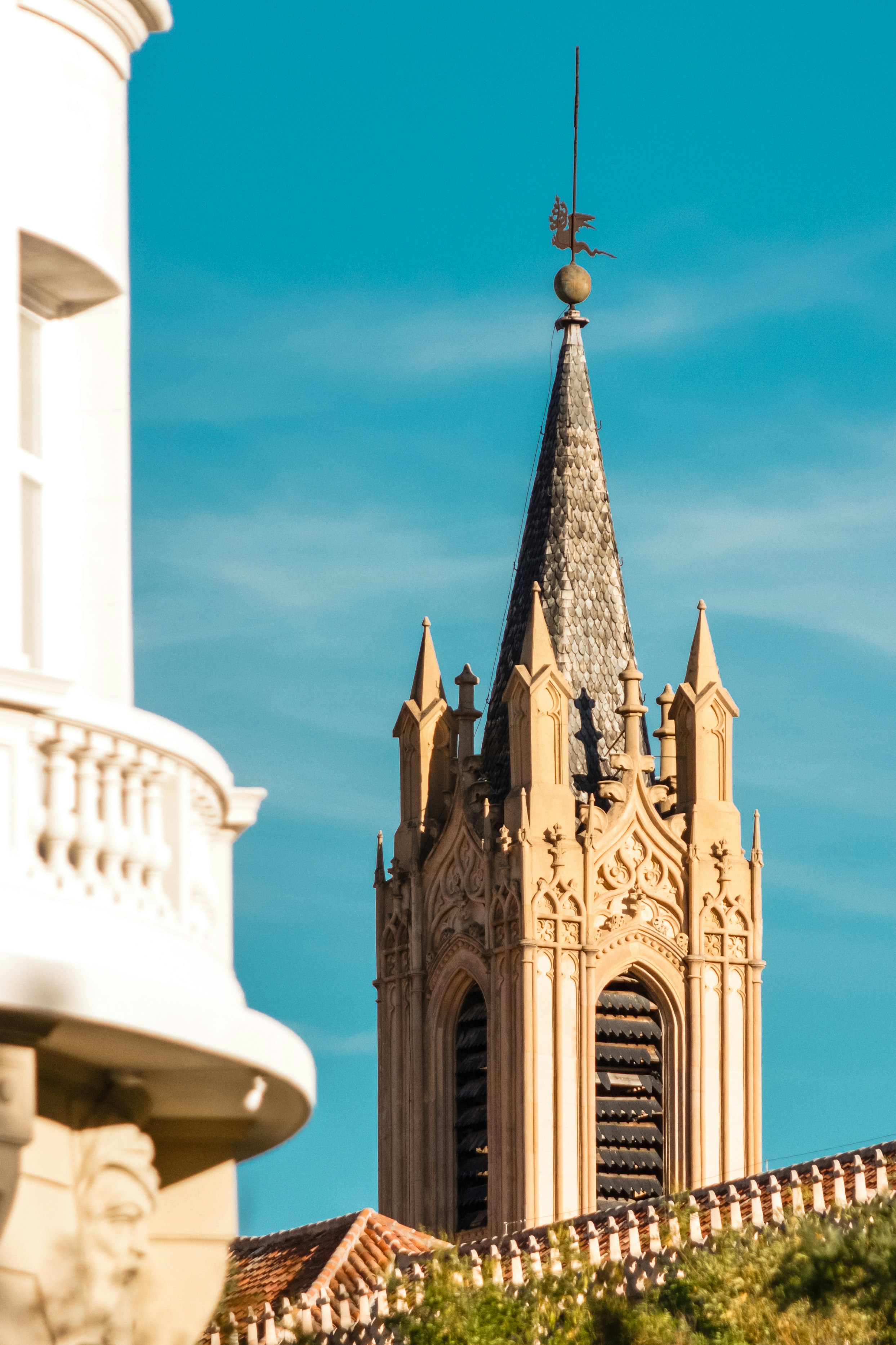 Photo by vincenzogallinaphotography