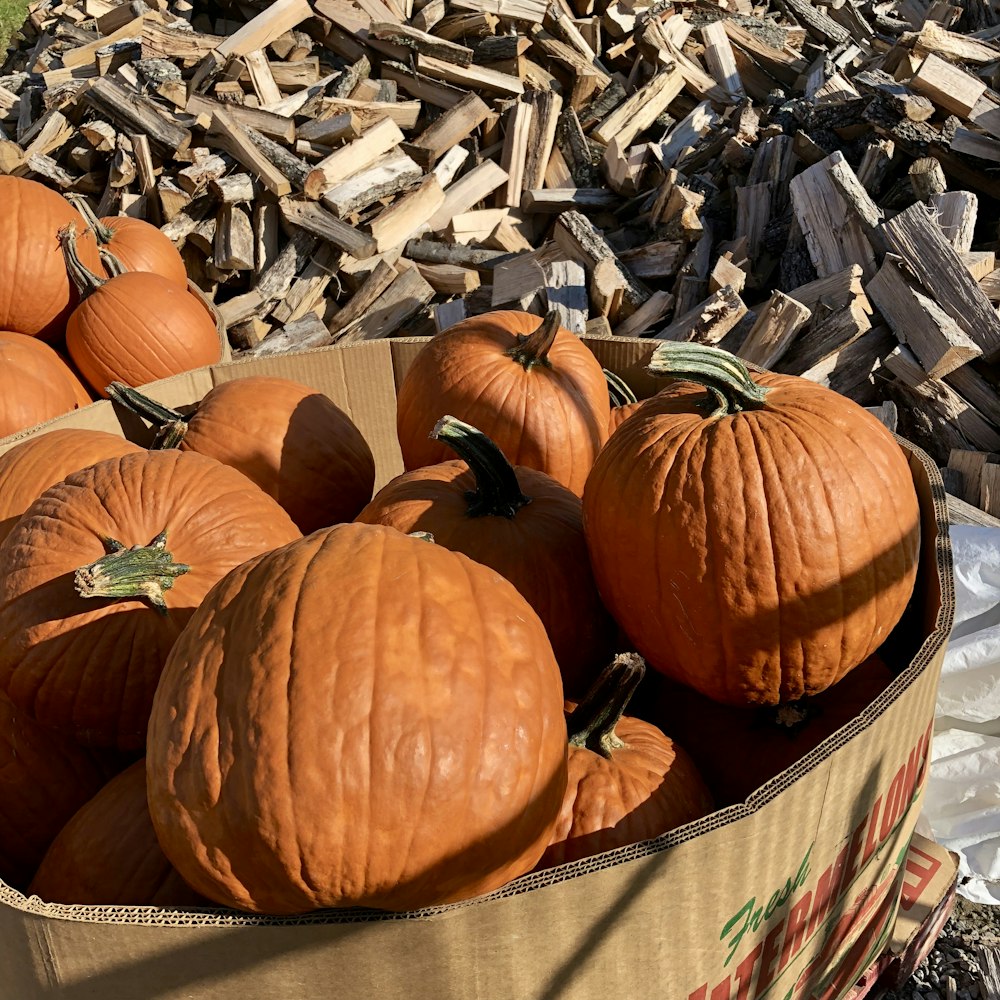 a cardboard box filled with lots of pumpkins