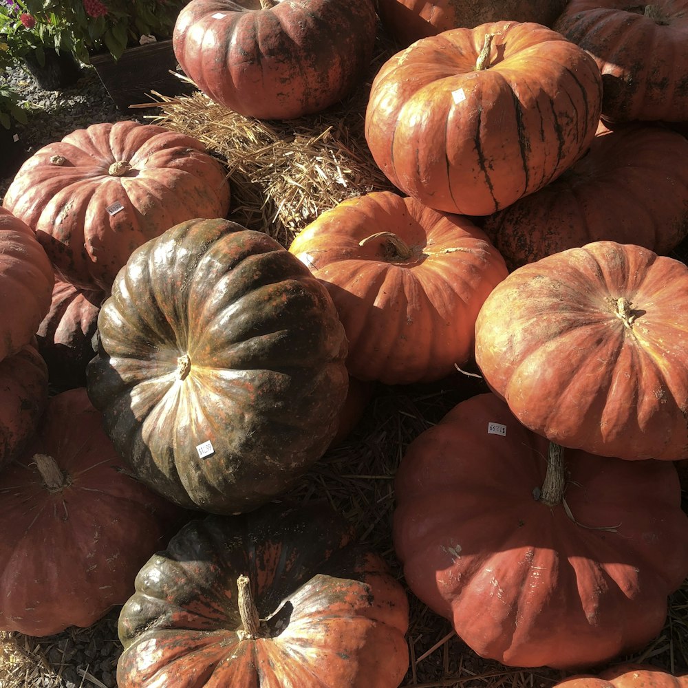 a pile of pumpkins sitting on top of a pile of hay