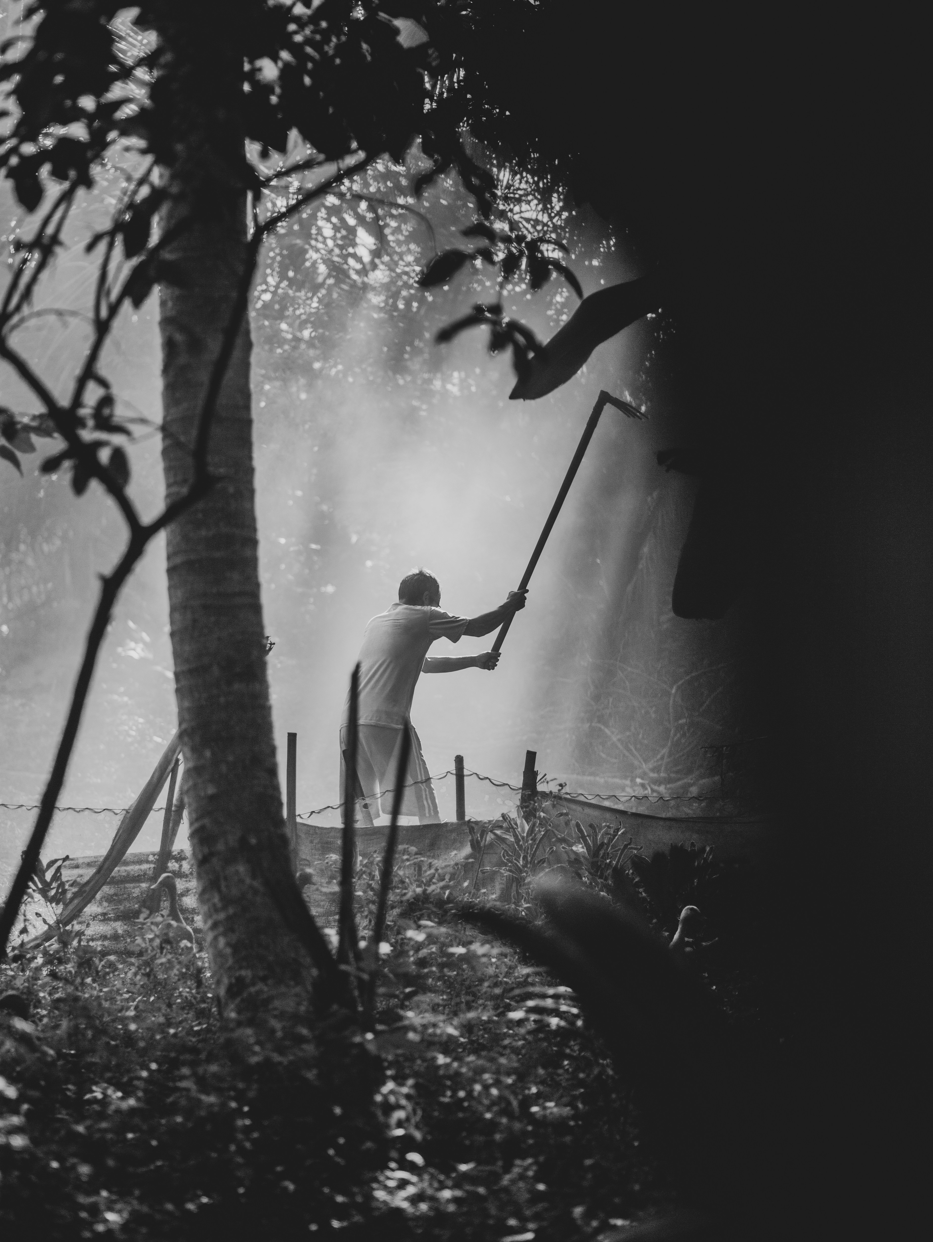a man holding a stick in a forest