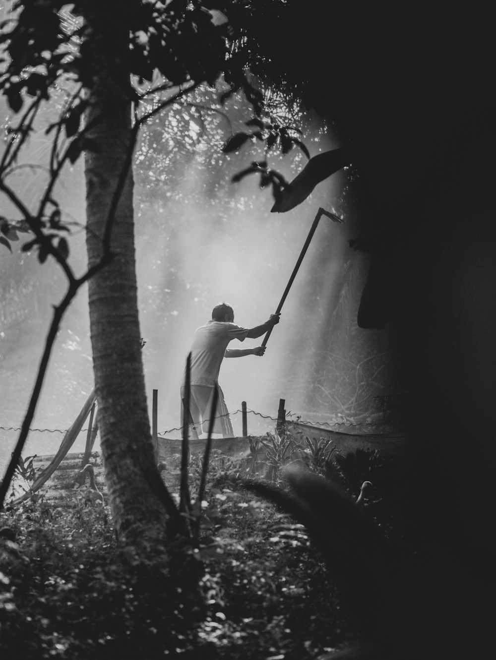 a man holding a stick in a forest