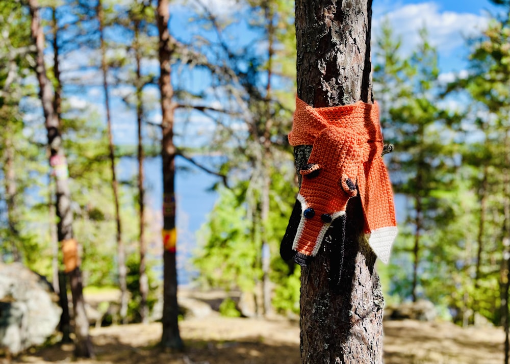a knitted scarf hanging on a tree in the woods