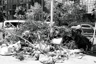A pile of various debris including branches, leaves, and bags is seen on a city street. Buildings and cars are visible in the background, indicating an urban setting.