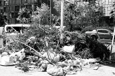 A pile of various debris including branches, leaves, and bags is seen on a city street. Buildings and cars are visible in the background, indicating an urban setting.