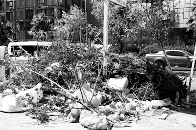 Pile of collected gutter debris including leaves and twigs beside a cleaning truck.