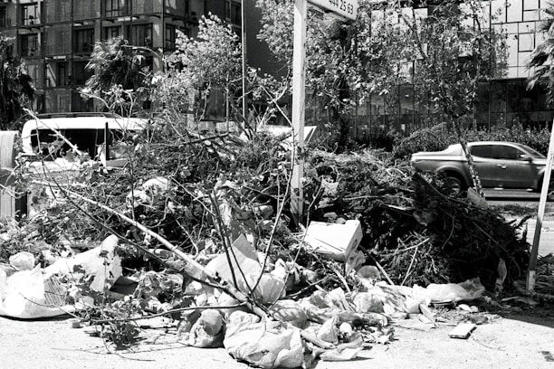 A pile of various debris including branches, leaves, and bags is seen on a city street. Buildings and cars are visible in the background, indicating an urban setting.