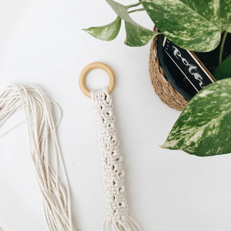 Cream macrame plant hanger holding a small potted plant