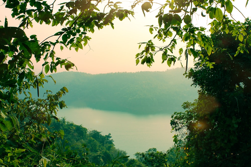 a view of a lake through some trees