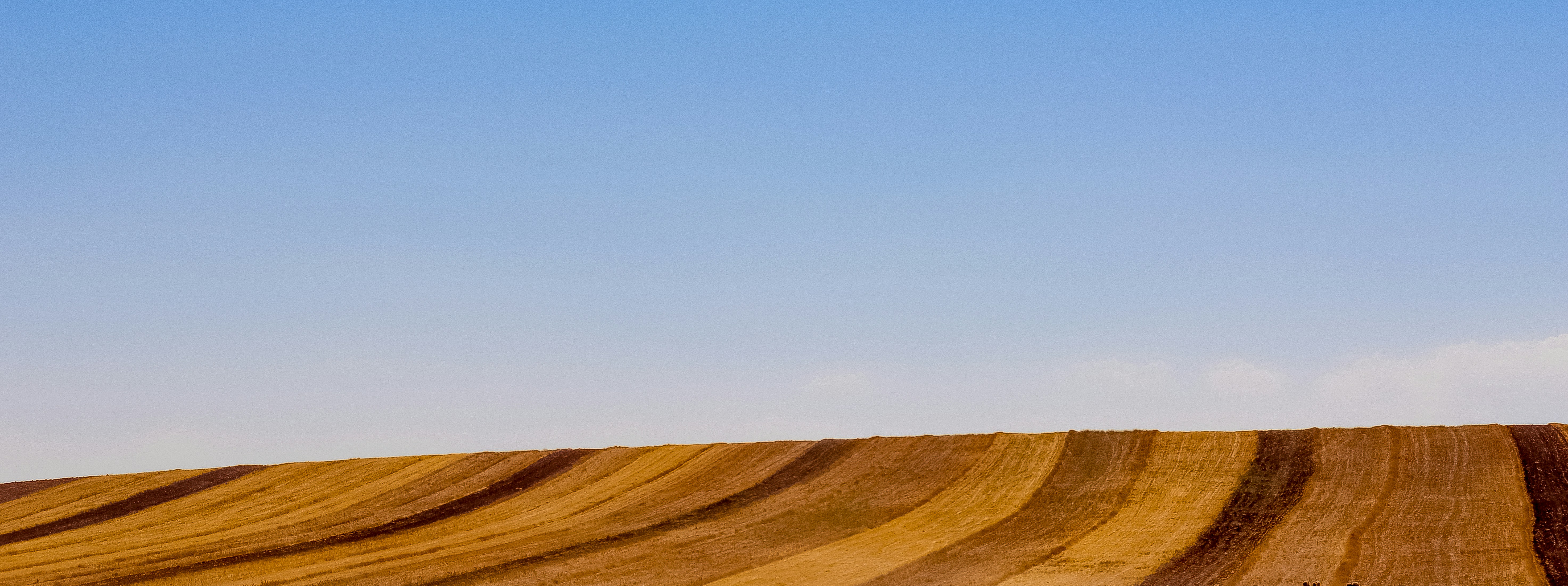 Photo by sinabahar76