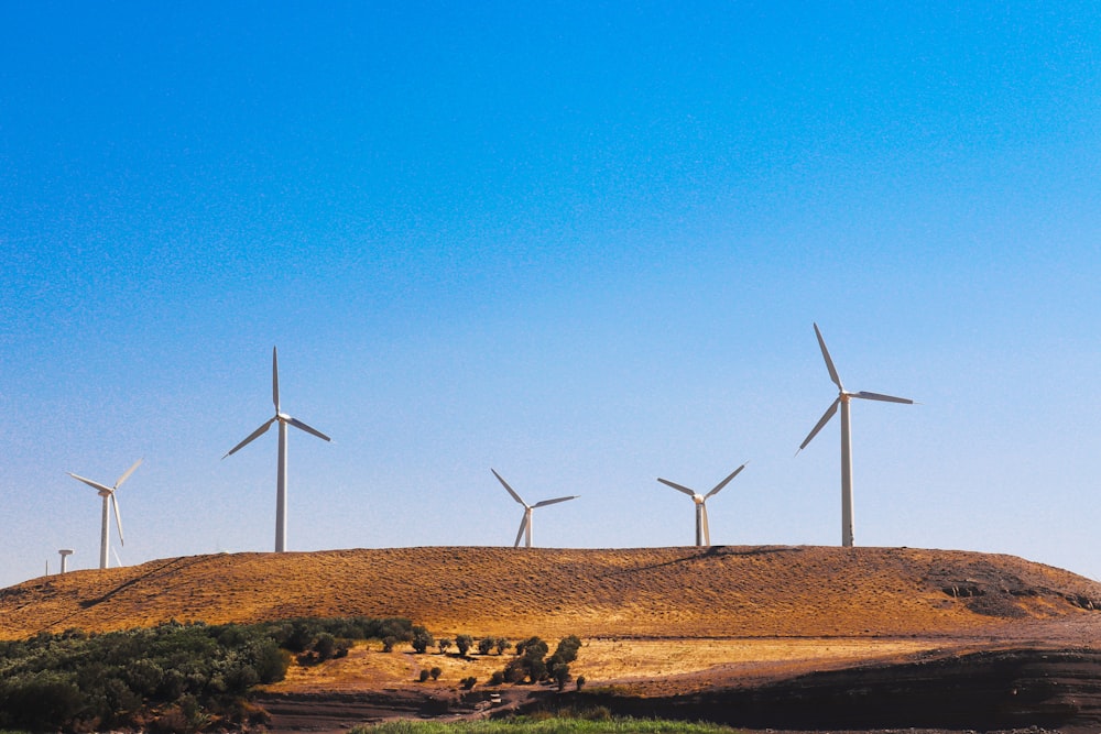 a group of wind turbines on a hill