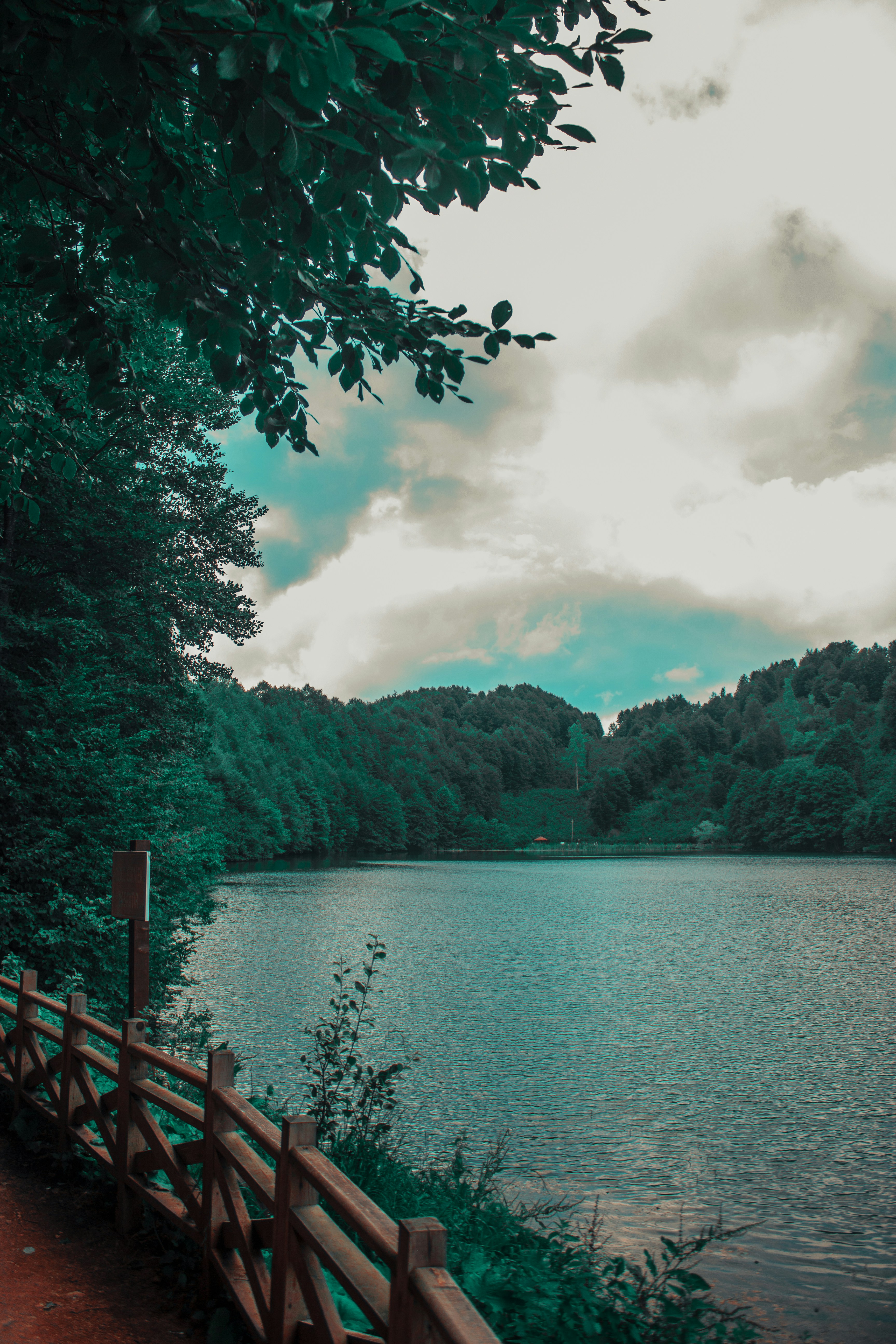 Photo by suleymancansezgi