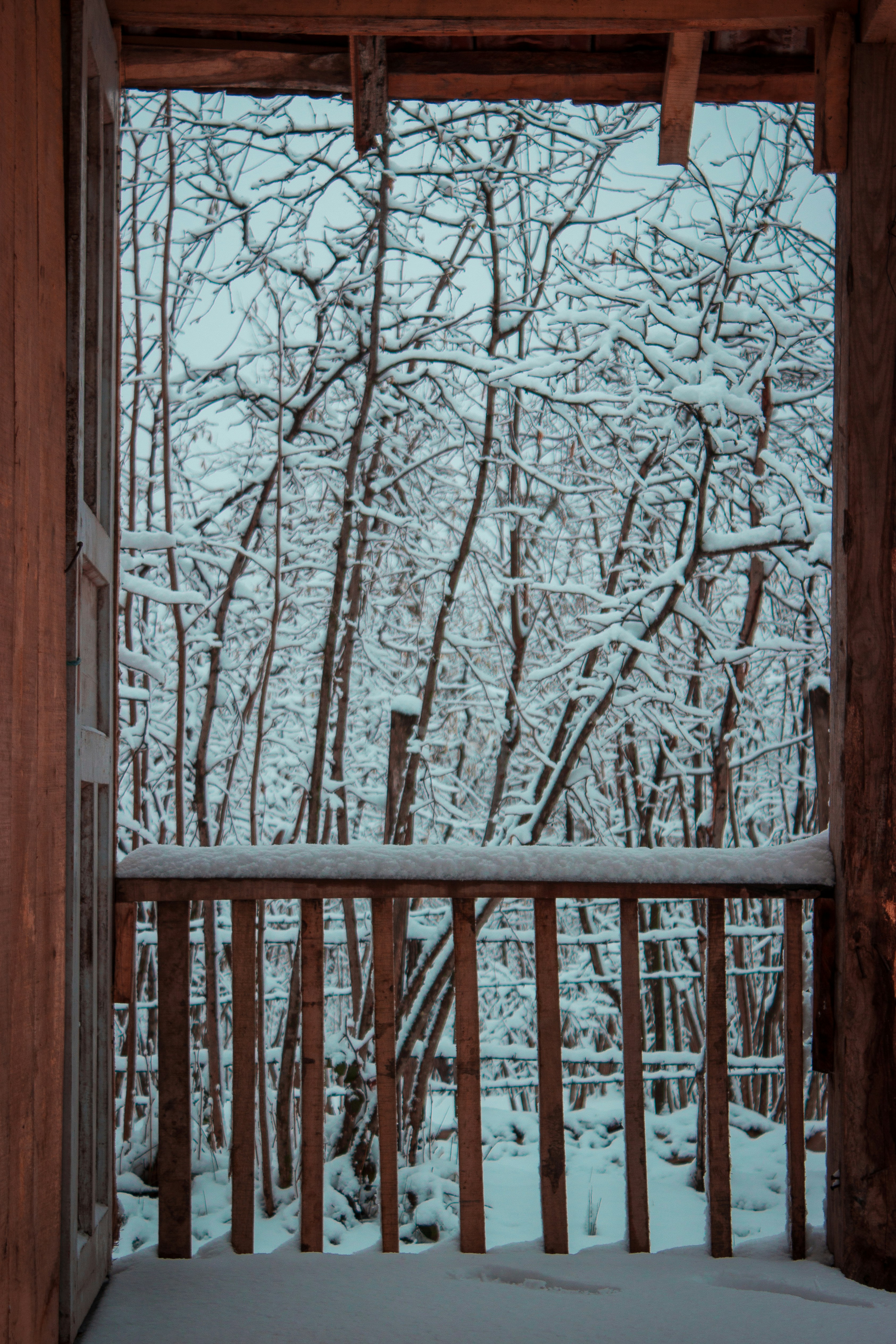 Photo by suleymancansezgi