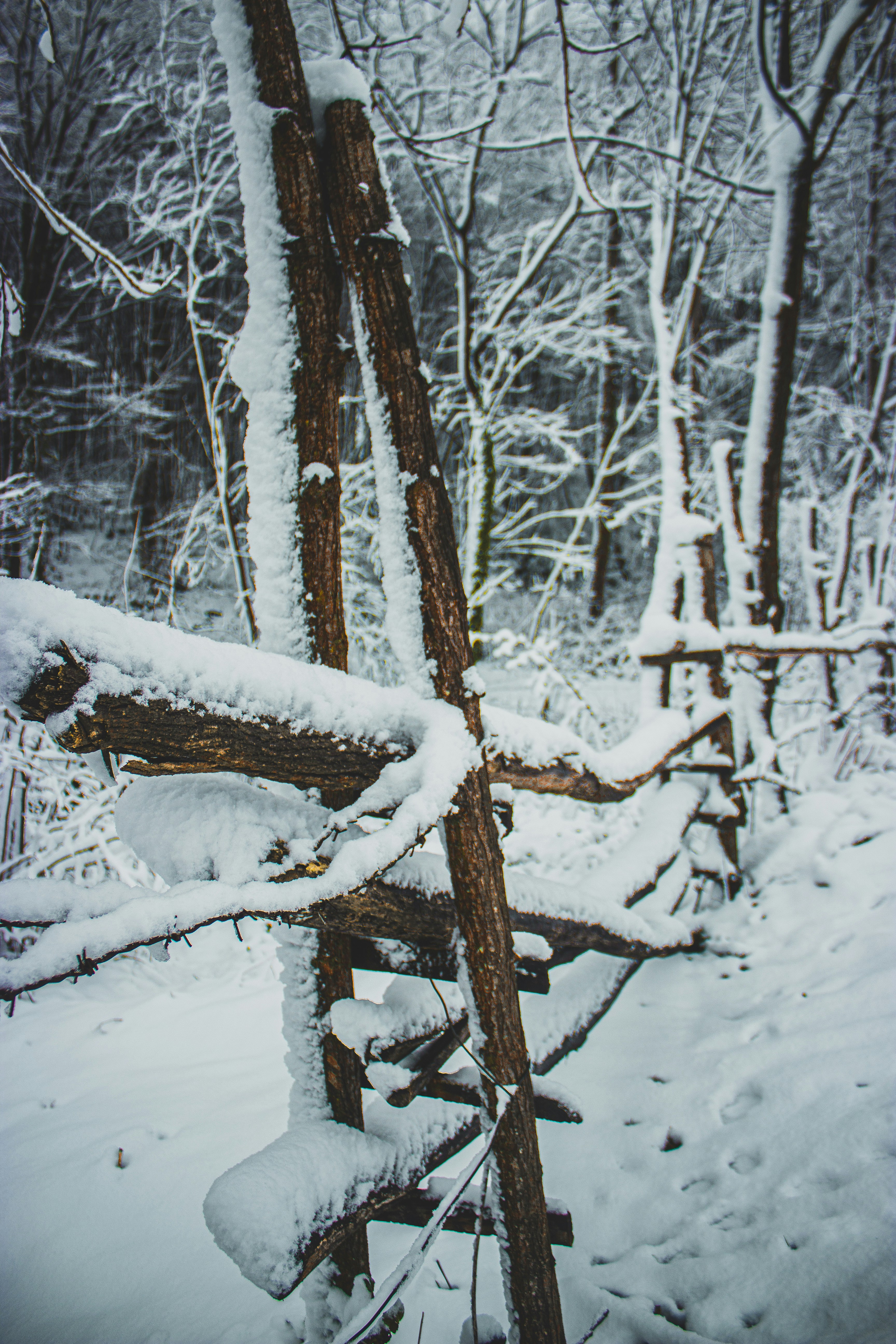 Photo by suleymancansezgi