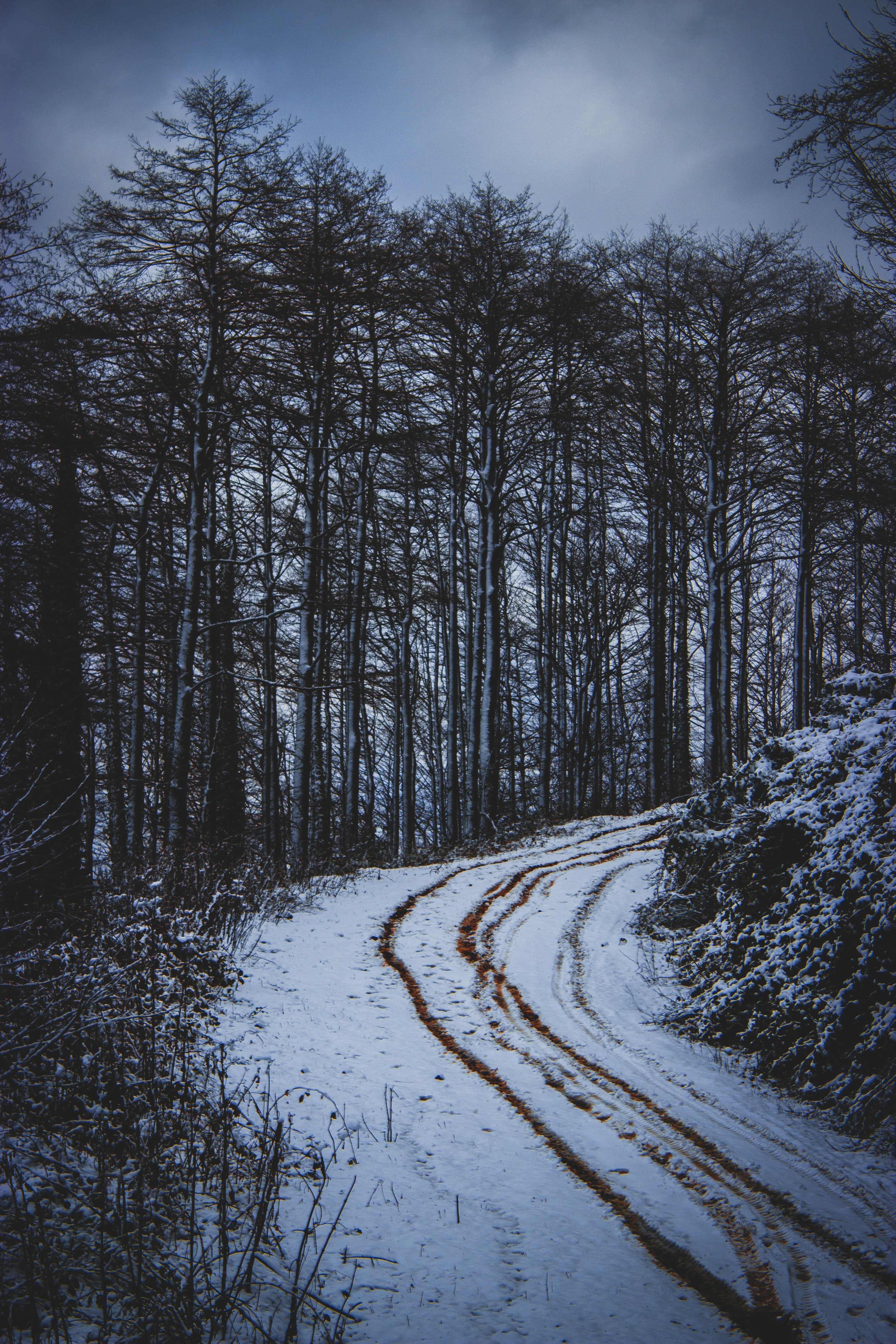 Photo by suleymancansezgi