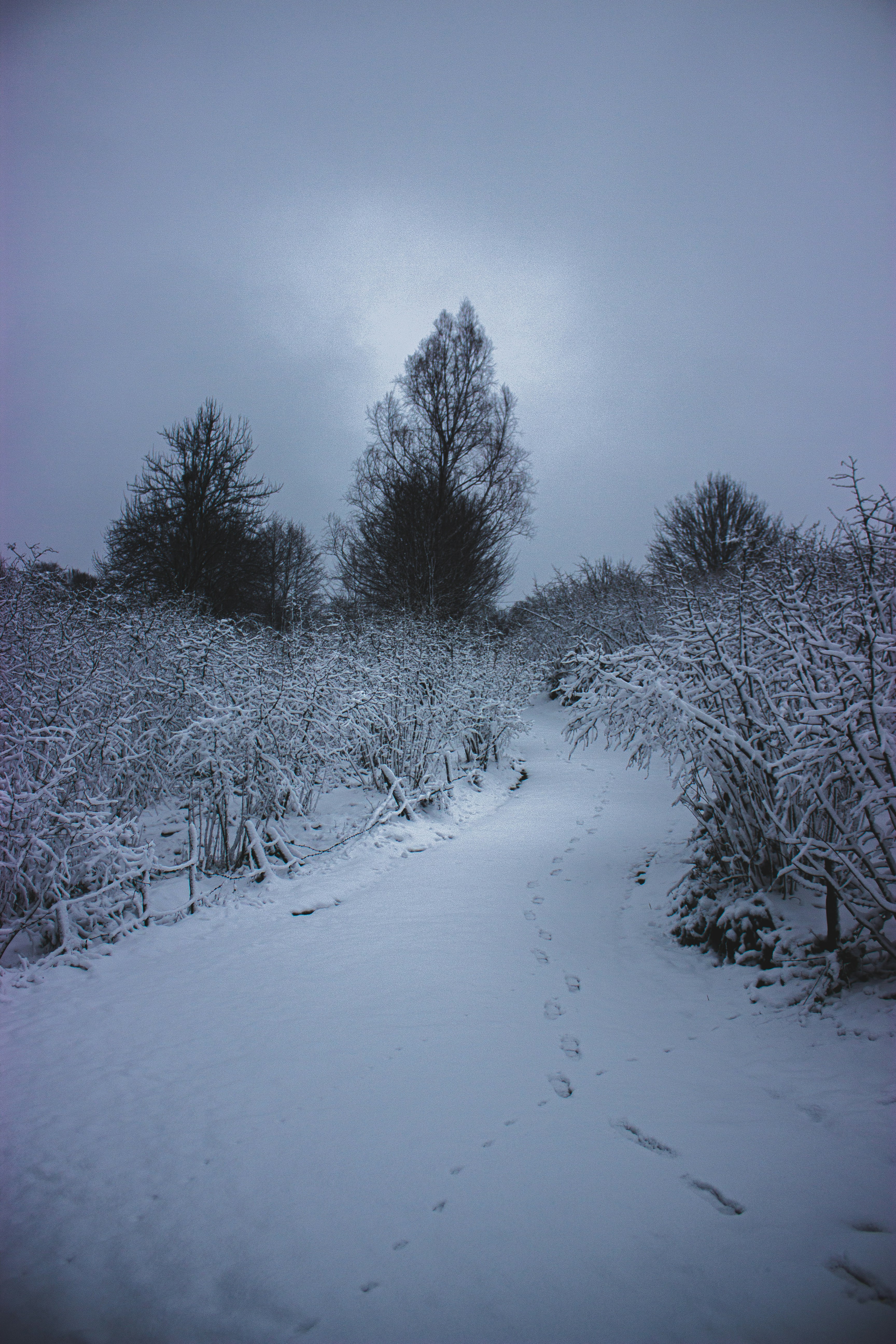 Photo by suleymancansezgi