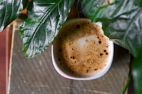 A freshly brewed cup of coffee is surrounded by lush green leaves with droplets of water on their surface. The frothy texture on top of the coffee creates a warm and inviting appearance, while the leaves add a touch of natural elegance.