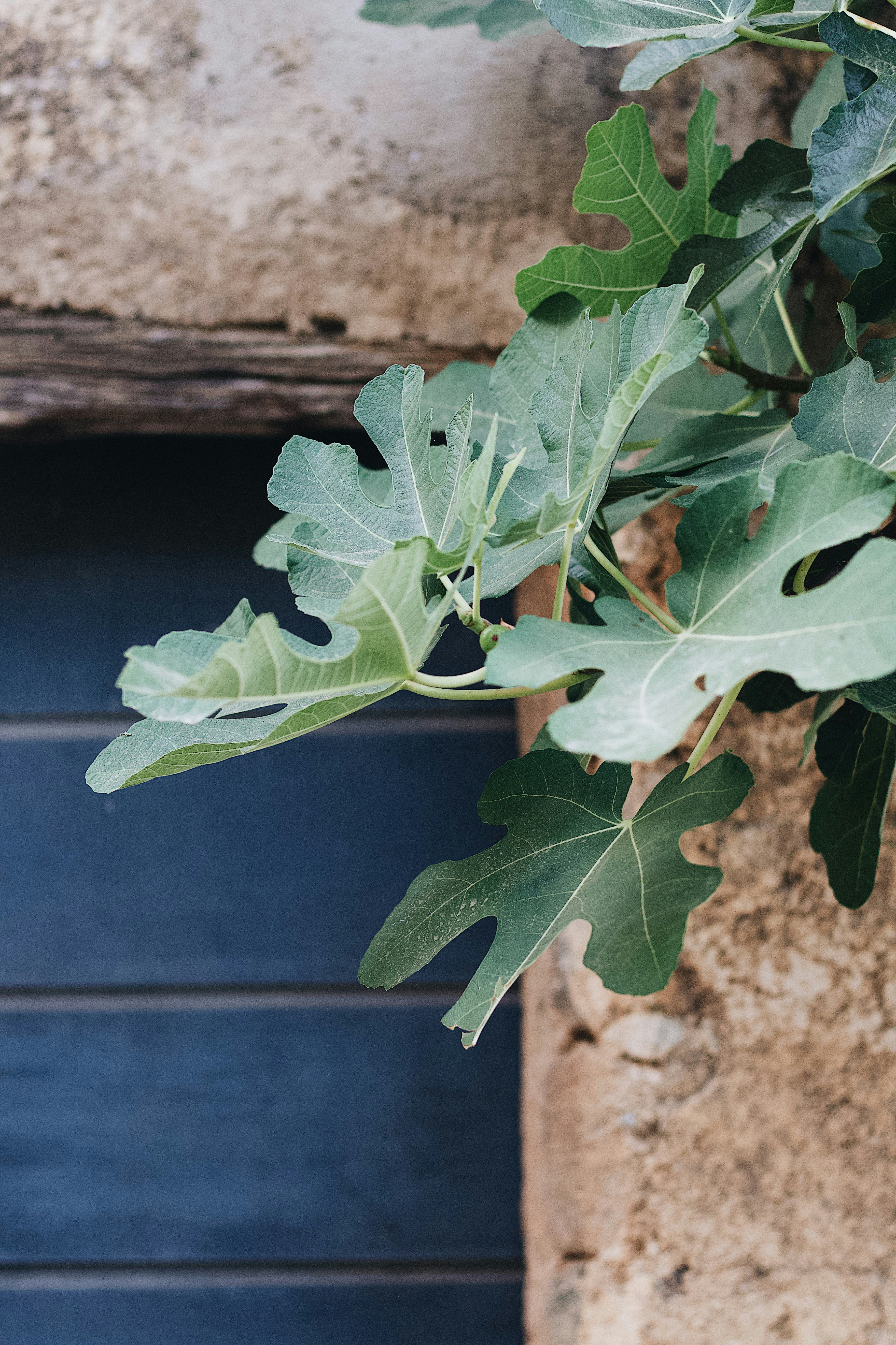 Photo by mael_balland