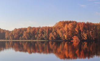 A serene lake reflecting autumnal trees with warm orange and red leaves.