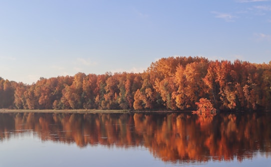 A serene lake reflects a dense forest of trees adorned in vibrant autumn foliage, ranging from deep reds to bright oranges. The sky above is a clear blue, contrasting with the warm colors of the leaves.